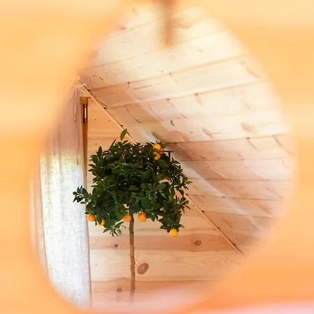 Siostry Brata Tatil Evi Grybow